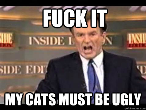 FUCK IT My cats must be ugly  Fuck it
