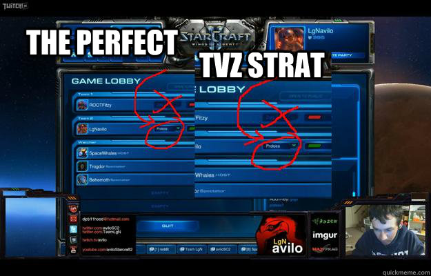 the perfect TvZ Strat - the perfect TvZ Strat  TvZ avilos way