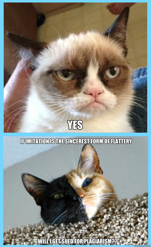 if imitation is the sincerest form of flattery will i get sued for plagiarism?? yes - if imitation is the sincerest form of flattery will i get sued for plagiarism?? yes  GRUMPY CAT MAKES VENUS GRUMPY TOO