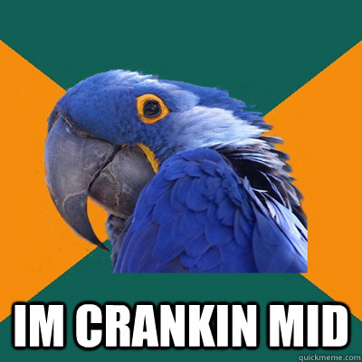   im crankin mid  Paranoid Parrot