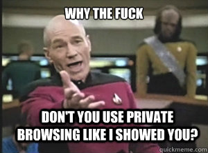 WHY THE FUCK DON'T YOU USE PRIVATE BROWSING LIKE I SHOWED YOU?  Annoyed Picard