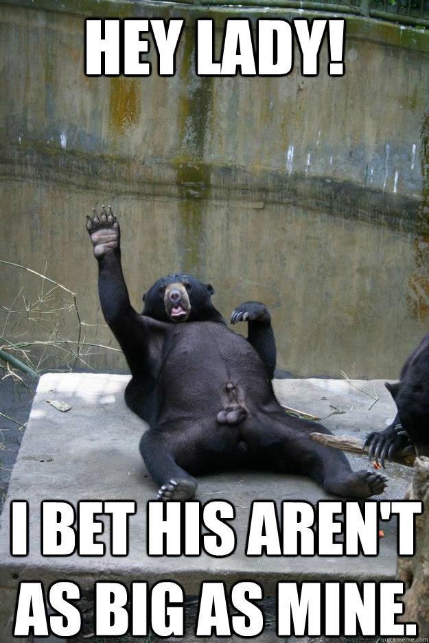 hey lady! i bet his aren't as big as mine.  Ballsy Bear