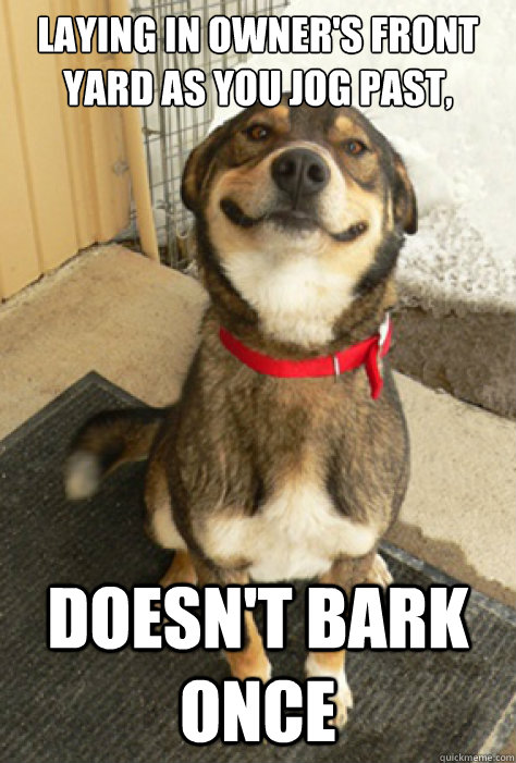 Laying in owner's front yard as you jog past, doesn't bark once  Good Guy Dog