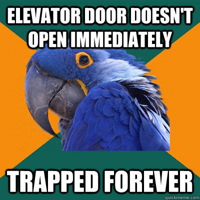 Elevator door doesn't open immediately Trapped forever  Paranoid Parrot
