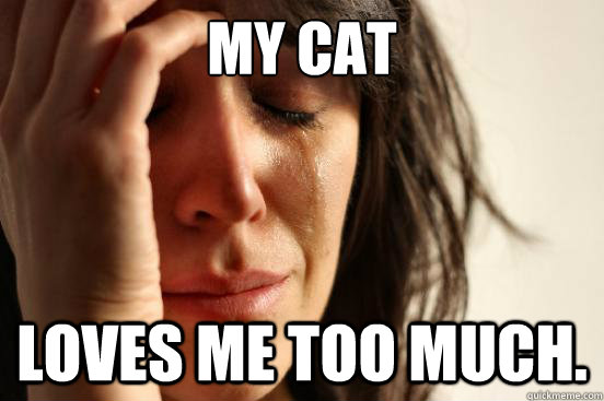 my cat loves me too much.  First World Problems