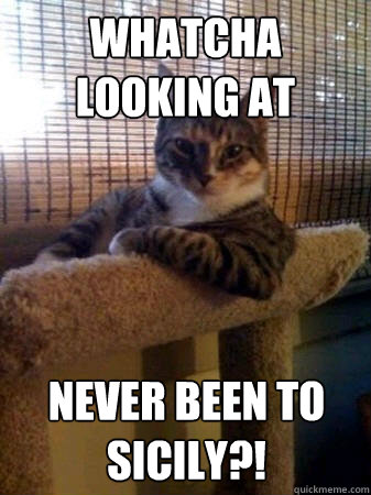 Whatcha looking at Never been to Sicily?!  The Most Interesting Cat in the World