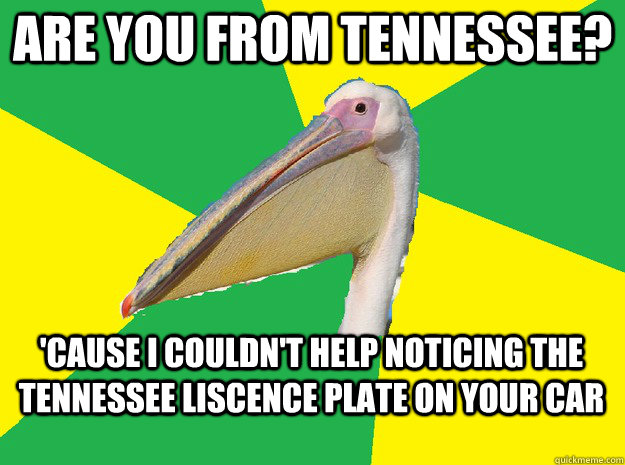 Are you from Tennessee? 'Cause I couldn't help noticing the Tennessee liscence plate on your car  Anti Pick Up Line Pelican