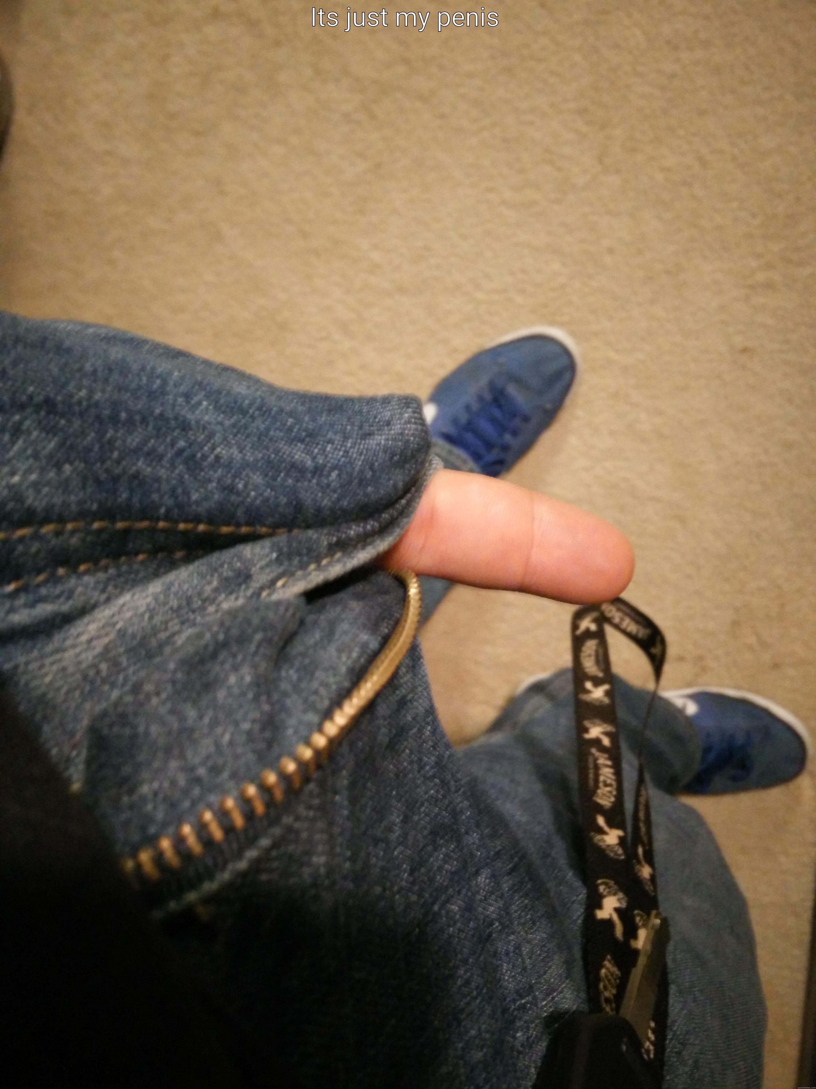ITS JUST MY PENIS  Misc