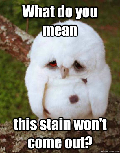 What do you  mean                                                                                                                                   this stain won't come out? - What do you  mean                                                                                                                                   this stain won't come out?  Depressed Baby Owl