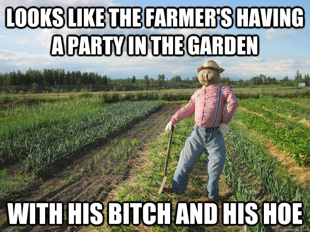 looks like the farmer's having a party in the garden with his bitch and his hoe  Scarecrow
