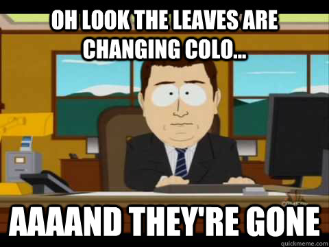 Oh look the leaves are changing colo... Aaaand they're gone - Oh look the leaves are changing colo... Aaaand they're gone  Misc