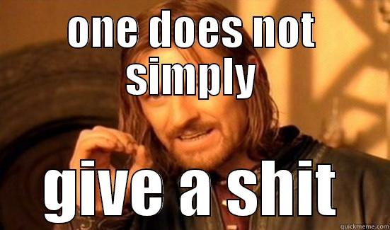 ONE DOES NOT SIMPLY GIVE A SHIT Boromir