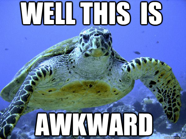 well This  is AWKWARD  Awkward Turtle