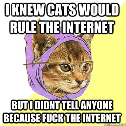 I knew cats would rule the internet but i didnt tell anyone because fuck the internet  Hipster Kitty