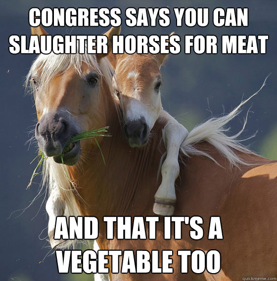 Congress says you can slaughter horses for meat and that it's a vegetable too - Congress says you can slaughter horses for meat and that it's a vegetable too  Horse on horse