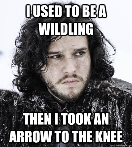 I used to be a Wildling Then I took an arrow to the knee - I used to be a Wildling Then I took an arrow to the knee  Jon Snow