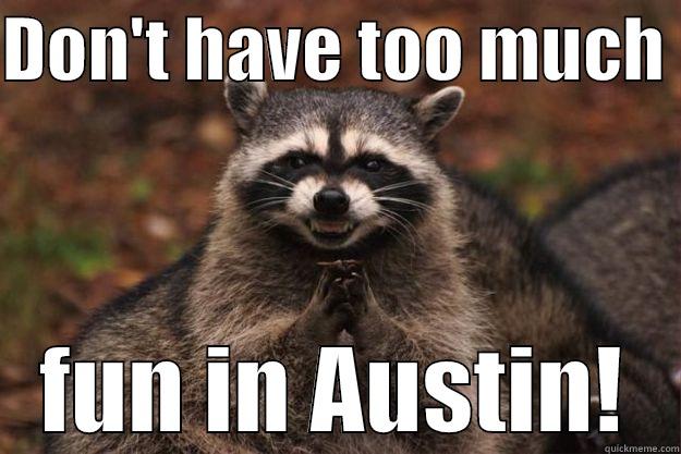 DON'T HAVE TOO MUCH  FUN IN AUSTIN! Evil Plotting Raccoon
