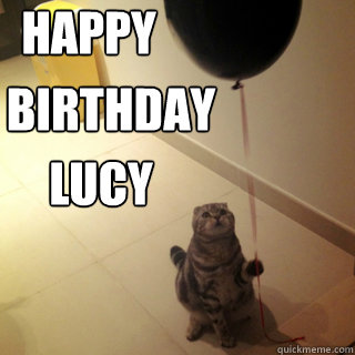 Happy Birthday! Lucy  Sad Birthday Cat