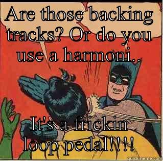ARE THOSE BACKING TRACKS? OR DO YOU USE A HARMONI.. IT'S A FRICKIN LOOP PEDAL!!!! Slappin Batman