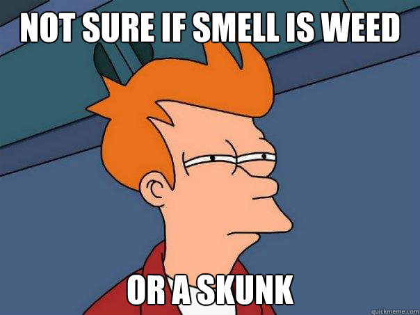 Not sure if SMELL IS WEED Or A SKUNK  Futurama Fry