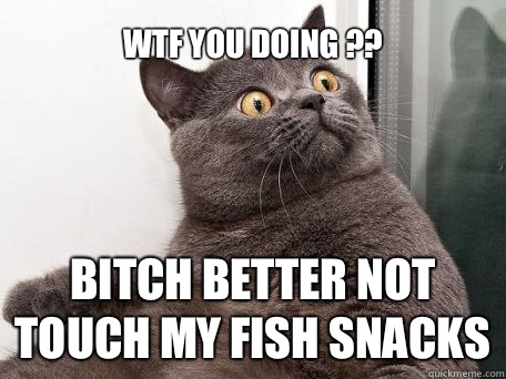 WTF you doing ??  Bitch better not touch my fish snacks  conspiracy cat