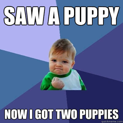 saw a puppy Now I got two puppies  Success Kid