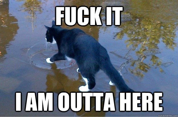 Fuck it I am outta here - Fuck it I am outta here  Jesus Cat