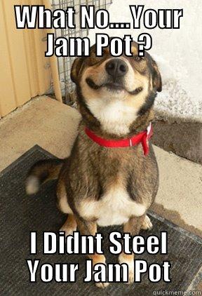 WHAT NO....YOUR JAM POT ? I DIDNT STEEL YOUR JAM POT Good Dog Greg