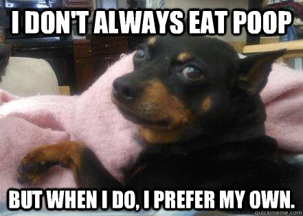 I don't always eat poop But when I do, I prefer my own.  The Most Interesting Dog in the World