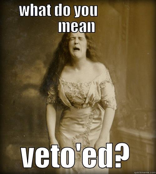 Housing problems - WHAT DO YOU              MEAN VETO'ED? 1890s Problems