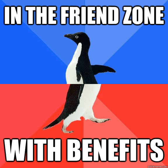 in the friend zone with benefits  Socially Awkward Awesome Penguin