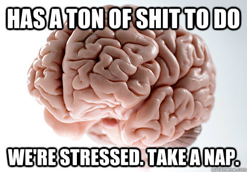 Has a ton of shit to do we're stressed. Take a nap.  Scumbag Brain