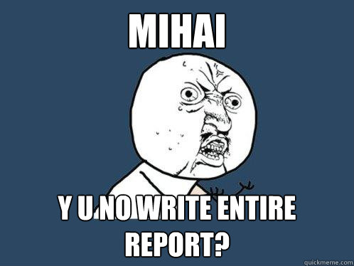 MIHAI y u no write entire report?  Y U No
