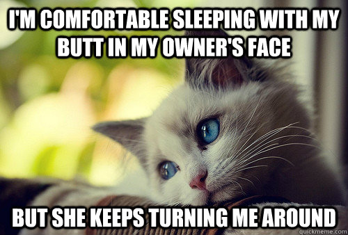 I'm comfortable sleeping with my butt in my owner's face But she keeps turning me around  First World Problems Cat