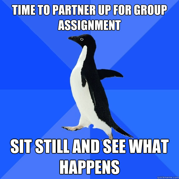 time to partner up for group assignment sit still and see what happens  Socially Awkward Penguin