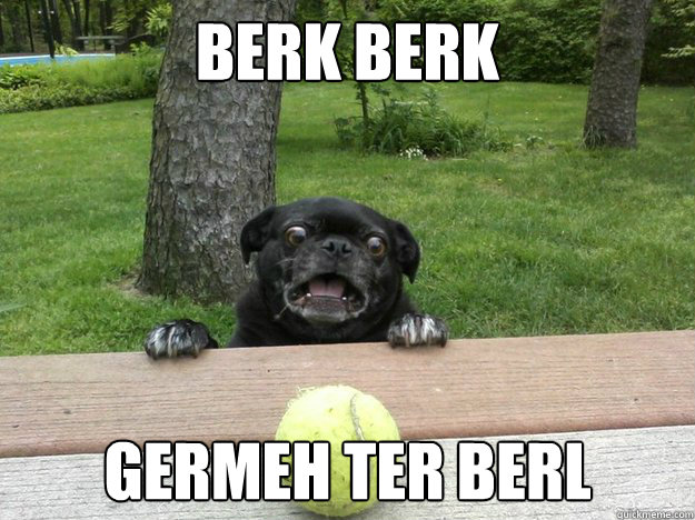 Berk berk Germeh Ter berl  Berks Dog