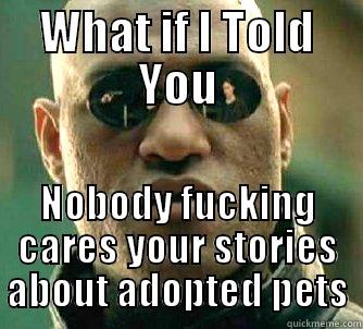 WHAT IF I TOLD YOU NOBODY FUCKING CARES YOUR STORIES ABOUT ADOPTED PETS Matrix Morpheus