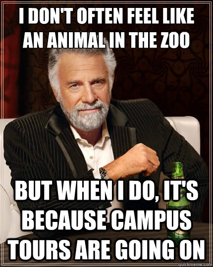 I don't often feel like 
an animal in the zoo but when I do, It's because campus tours are going on  The Most Interesting Man In The World