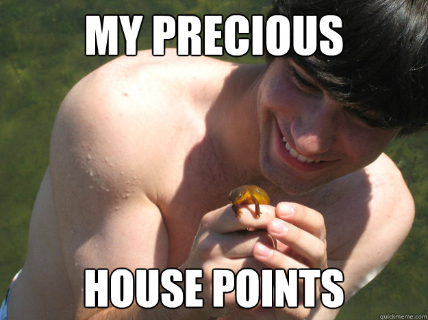 My Precious  House Points  