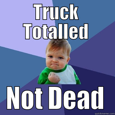 TRUCK TOTALLED NOT DEAD Success Kid