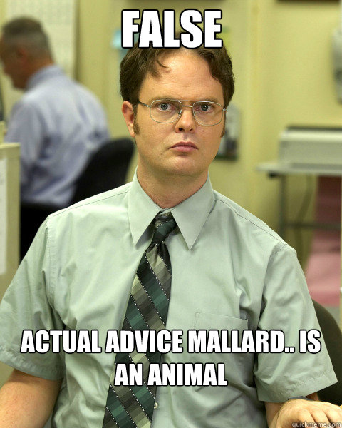 FALSE Actual advice mallard.. is an animal  Large False Guy