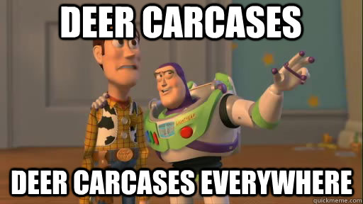 Deer carcases Deer carcases everywhere  Everywhere