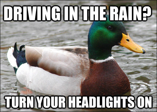 Driving in the rain? Turn your headlights on  Actual Advice Mallard