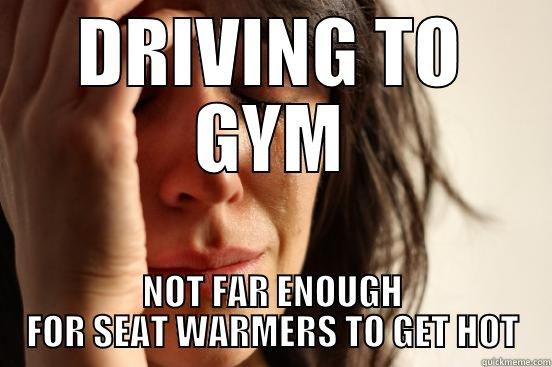 DRIVING TO GYM NOT FAR ENOUGH FOR SEAT WARMERS TO GET HOT First World Problems