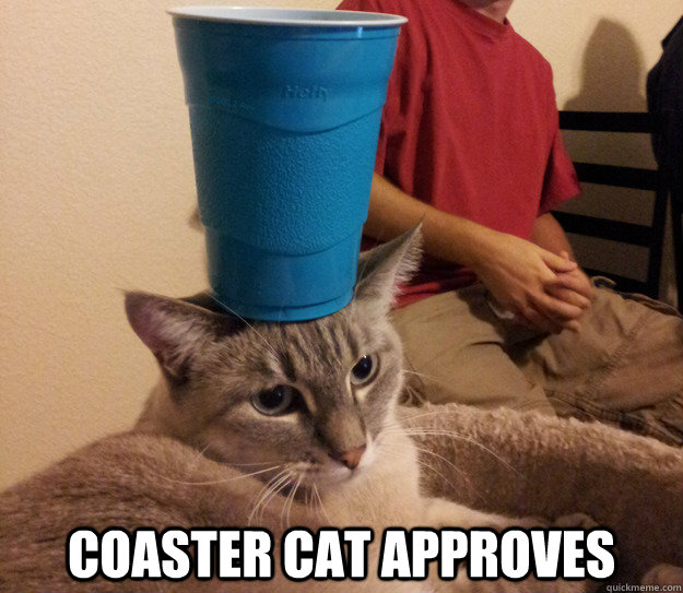 COASTER CAT APPROVES - COASTER CAT APPROVES  Coaster Cat Approves