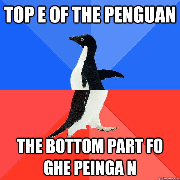 top e of the penguan the bottom part fo ghe peinga n  Socially Awkward Awesome Penguin