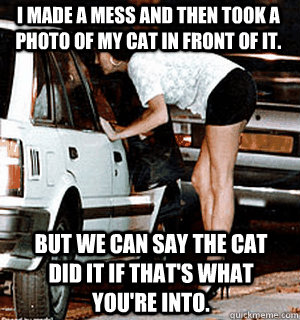 i made a mess and then took a photo of my cat in front of it. But we can say the cat did it if that's what you're into.  Karma Whore