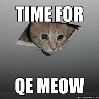 Time for QE meow  Ceiling Cat