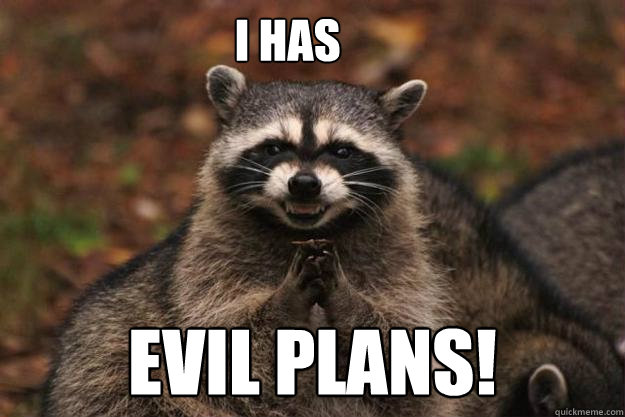 I HAS evil plans!  Evil Plotting Raccoon