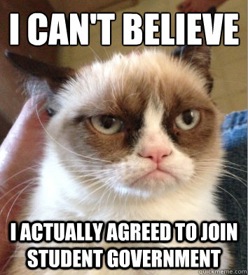 i can't believe i actually agreed to join student government - i can't believe i actually agreed to join student government  Grumpy Jean Cat